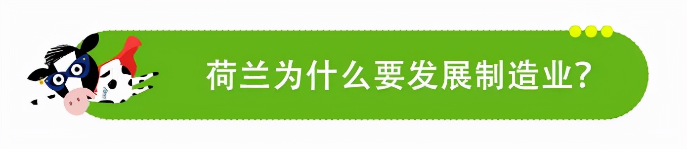 荷兰有风车郁金香还有啥,荷兰的郁金香花田和风车