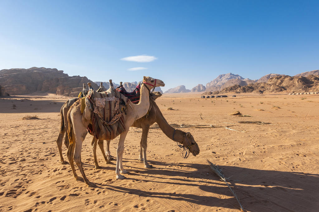 约旦，迷醉在路上的日暮与晨昏