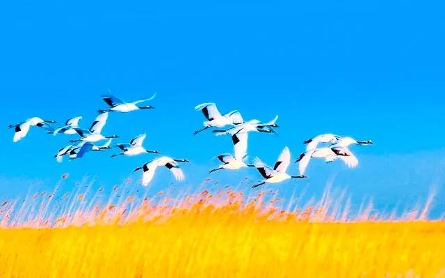 和大自然一起去旅行,和地理老师一起去旅行