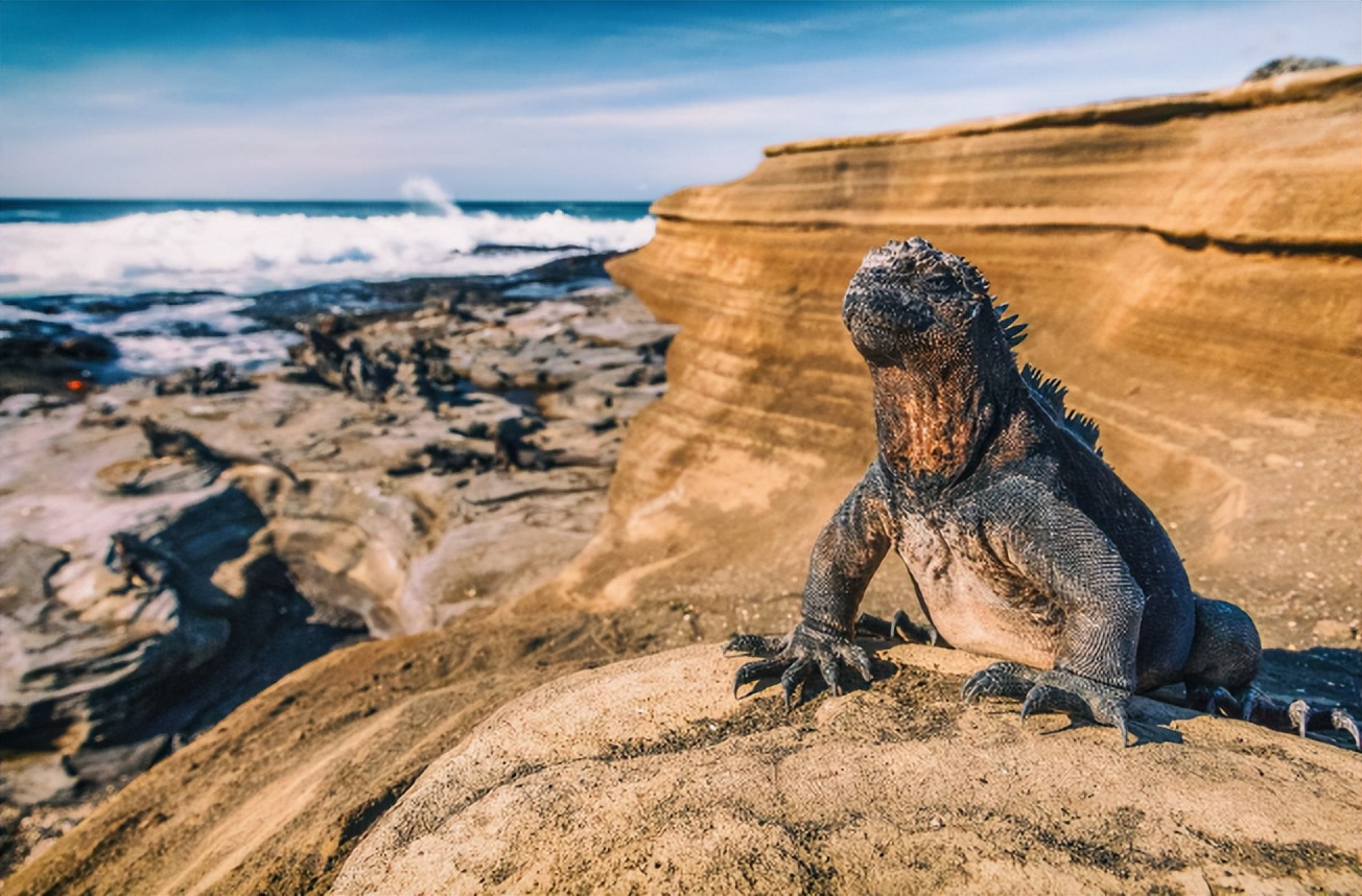 旅行厄瓜多尔原始部落,南美洲厄瓜多尔穿越雨林