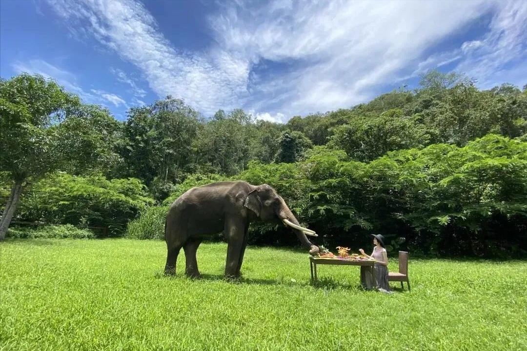 西双版纳值得旅游的地方,高品质西双版纳旅游