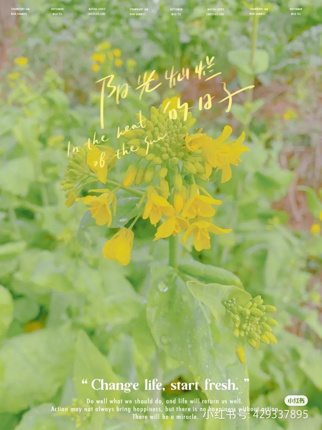 把我的心埋在垃圾桶里,把我的心踩碎音乐