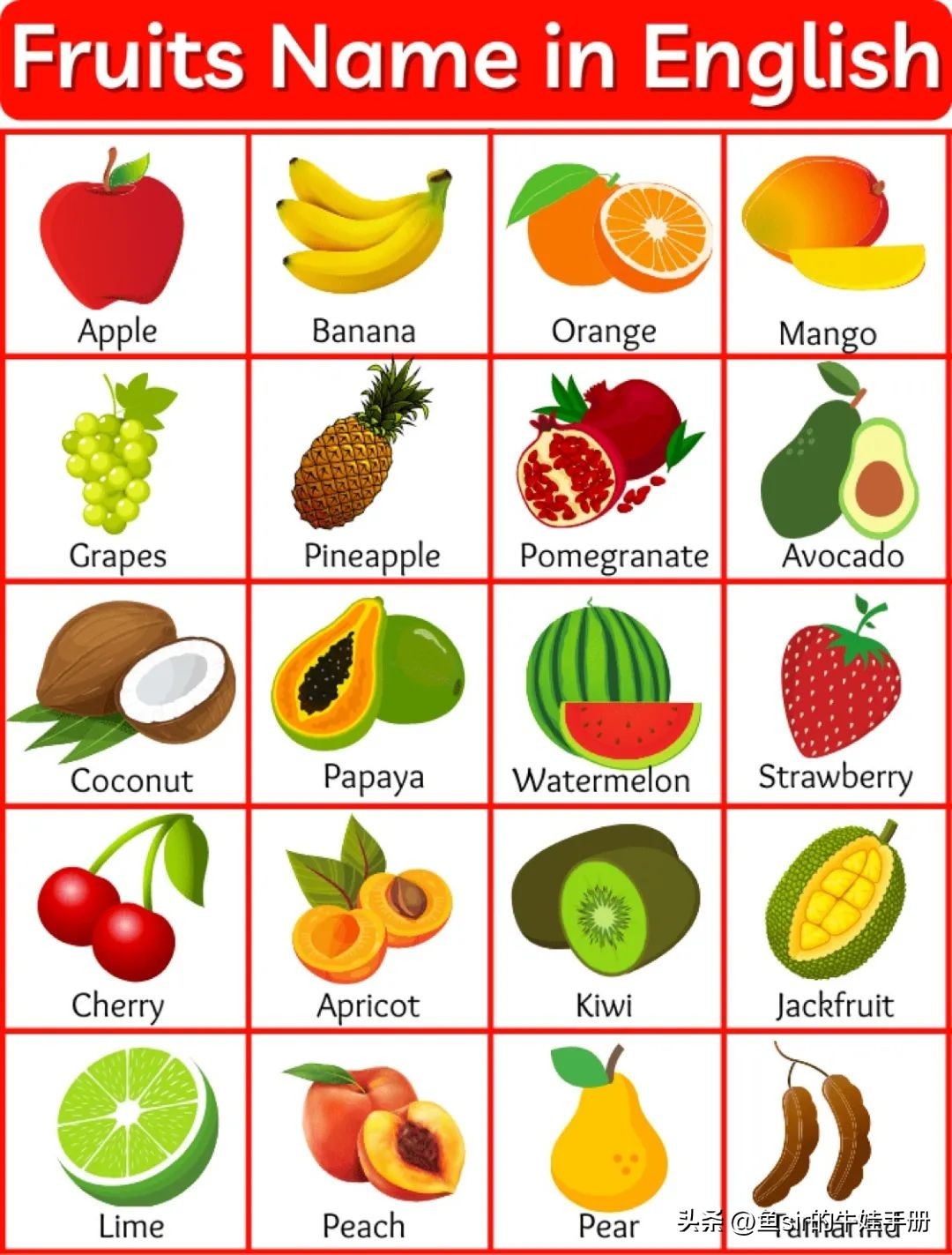 快速背单词的最快方法小学生,背单词的最快有效方法小学生