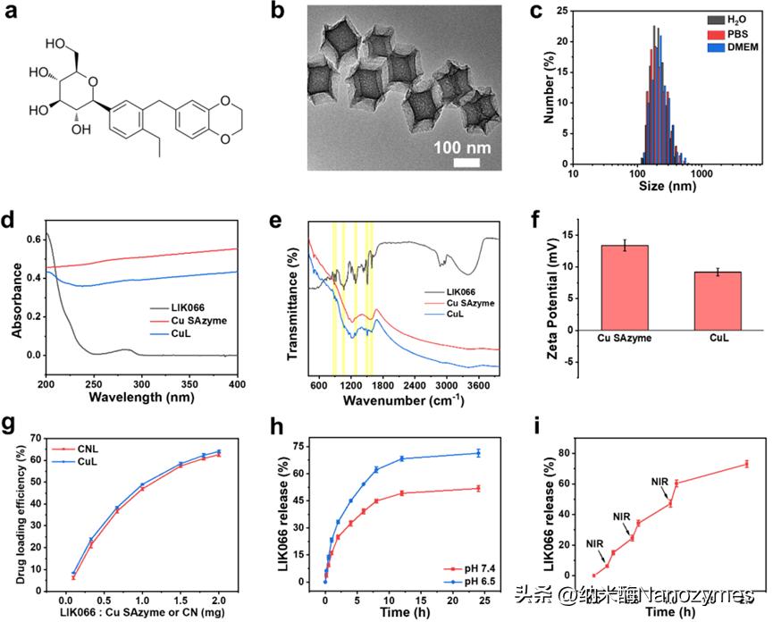 「转载」Angew.Chem.Int.Ed.|Cu单原子纳米酶用于光热疗法