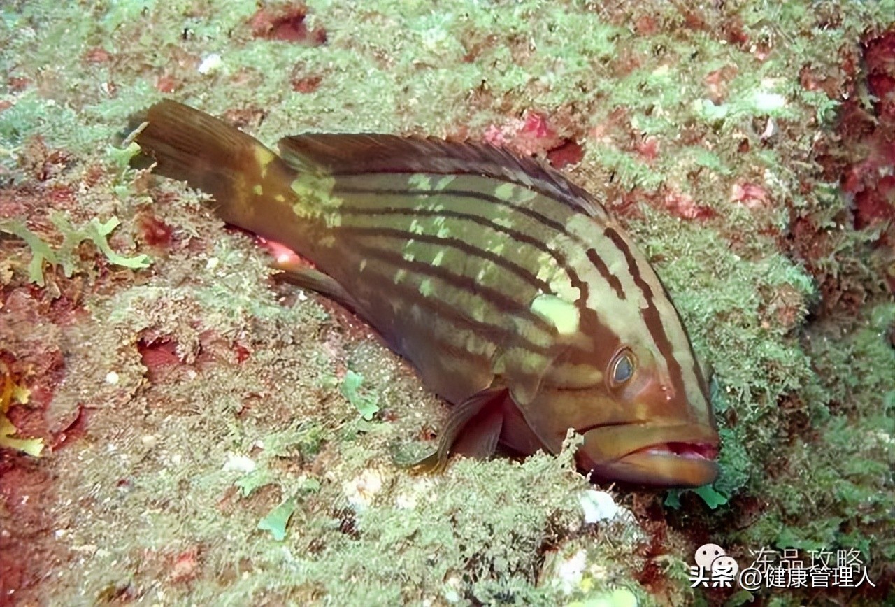 美容护肤食疗方案,美容护肤养生介绍