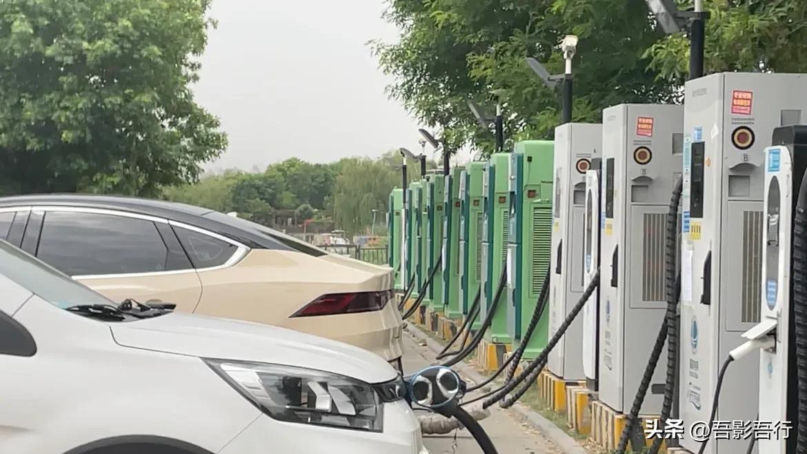 天津东丽湖旅游攻略路线,东丽湖附近野钓位置