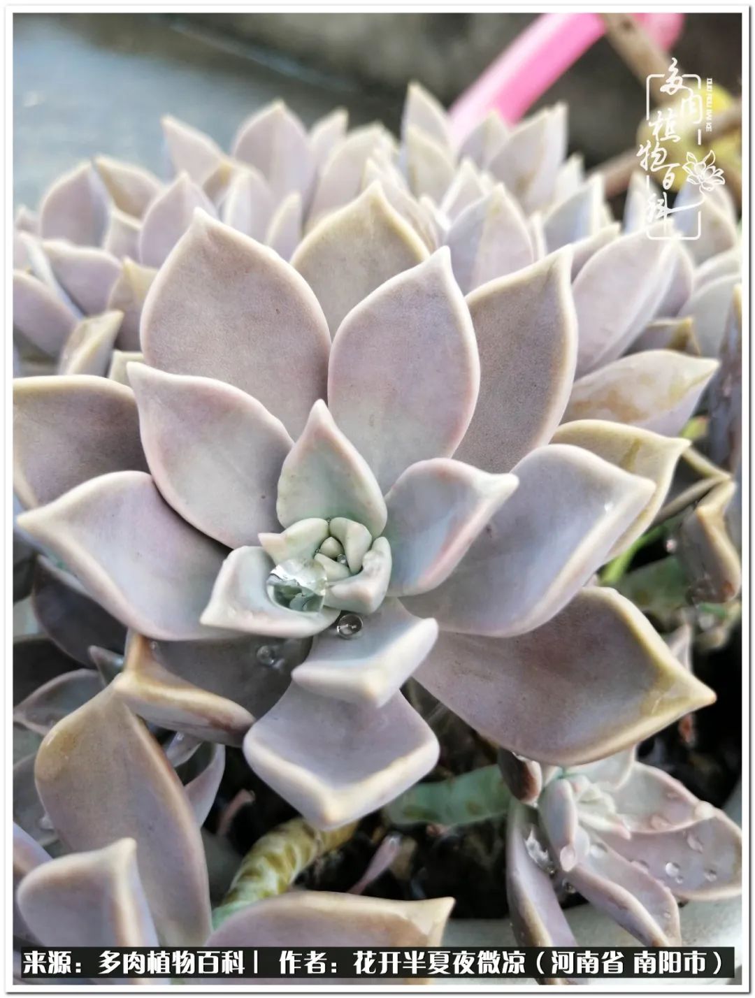 万事开头难只要坚持才有收获,万事开头难只要肯干就会有结果