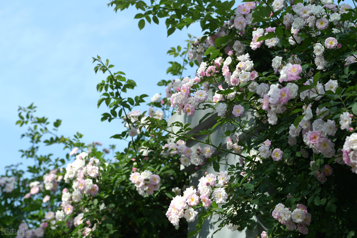 皮肤变好的习惯男生,皮肤变好的习惯