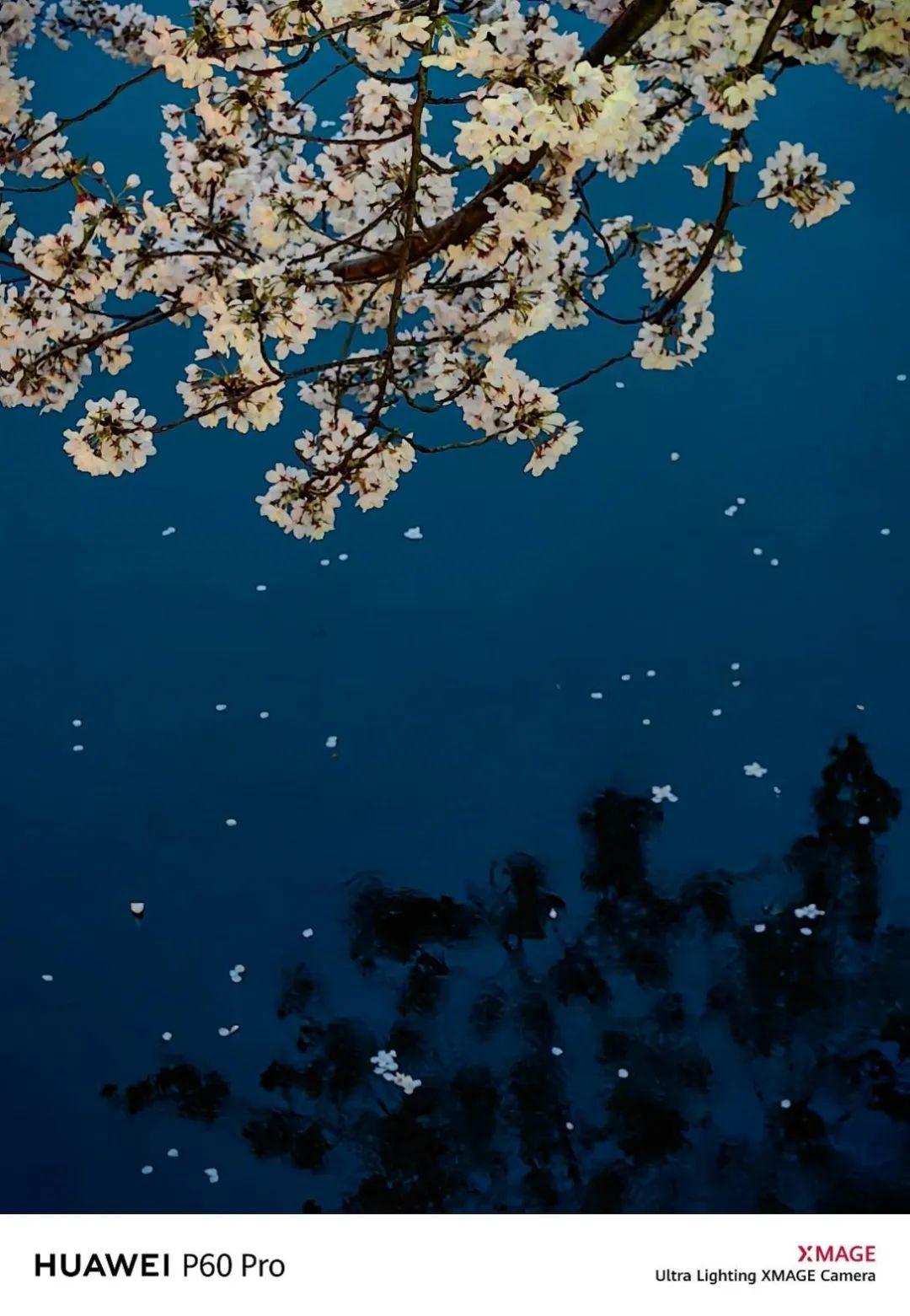 华为p60八达通,华为p60旅行套装和无线套装