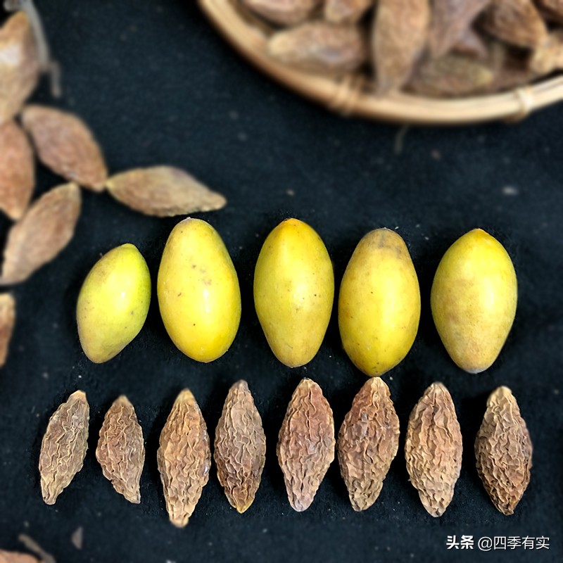 白果的养生方法,莲子冰糖橄榄白果炖汤