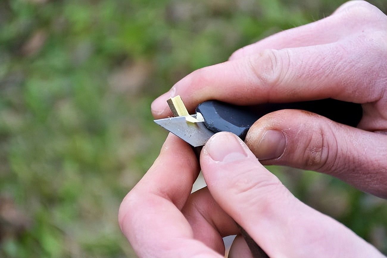 怎样进行各种嫁接？提高成功率的关键因素有哪些？