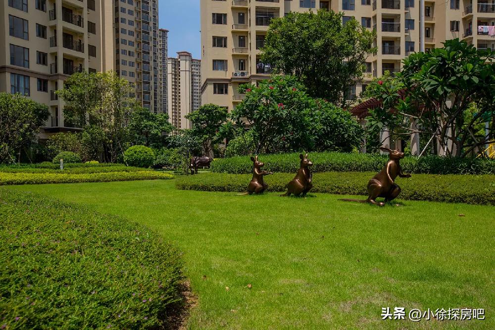 临深龙光城最好的楼盘,临深片区惠州最好的楼盘