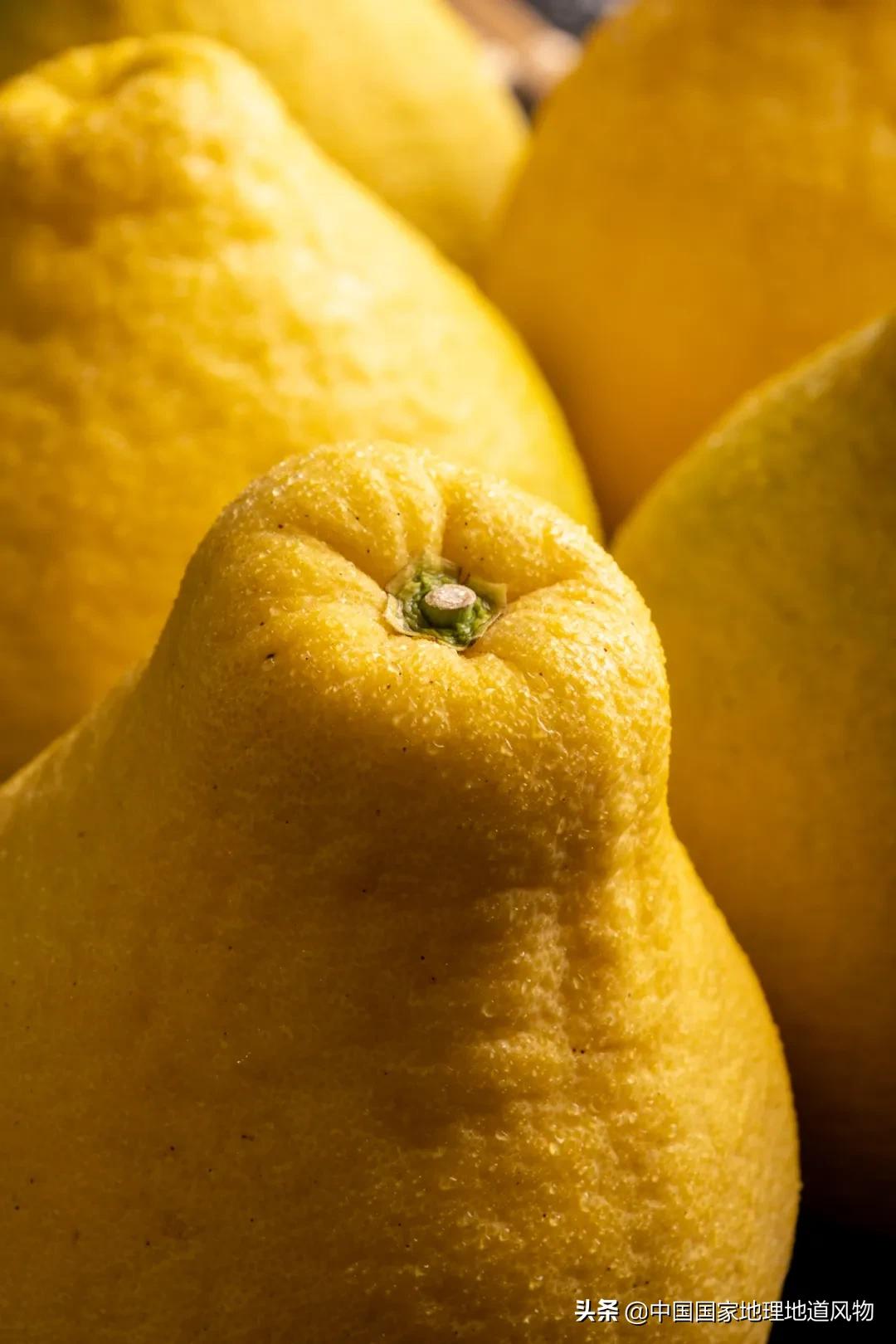 广西水果产量连续五年全国第一,广西和陕西谁才是水果第一大省