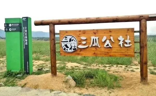城郊村乡村振兴示范村典型案例,乡村振兴与旅游结合的优秀案例