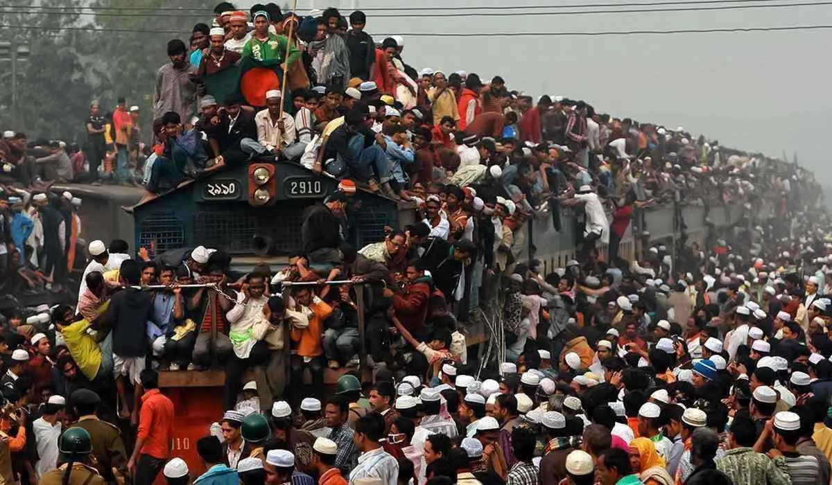 印度的牛粪饼是干什么用的,印度牛粪饼网上热销一度卖到断货