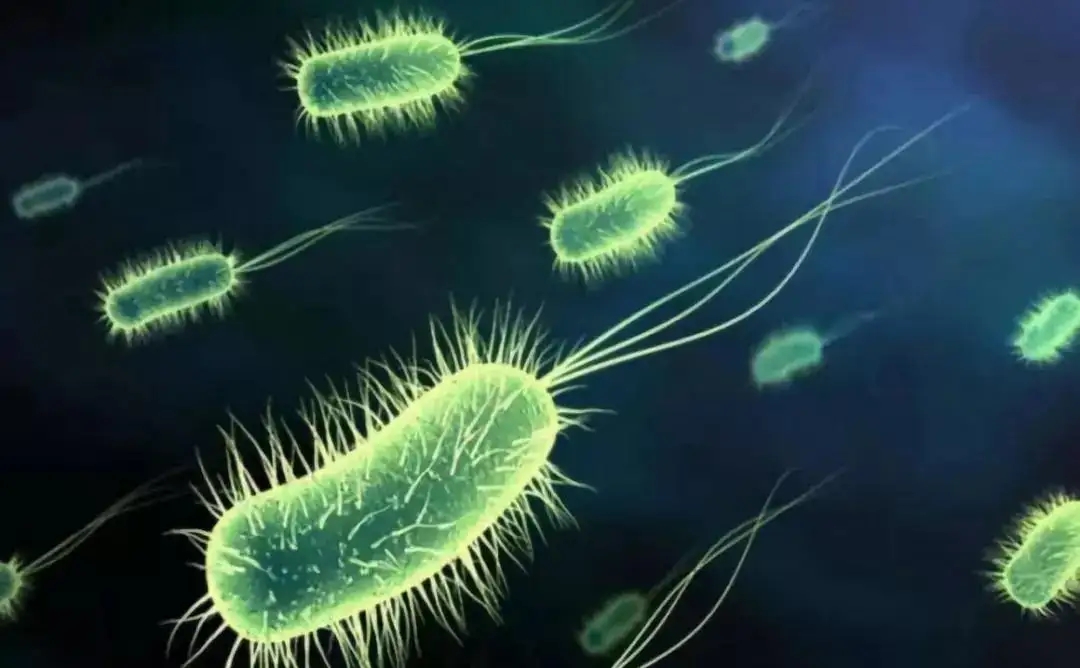 零基础养鱼没有缸怎么才能养活,小朋友五年级养鱼怎么才能养活