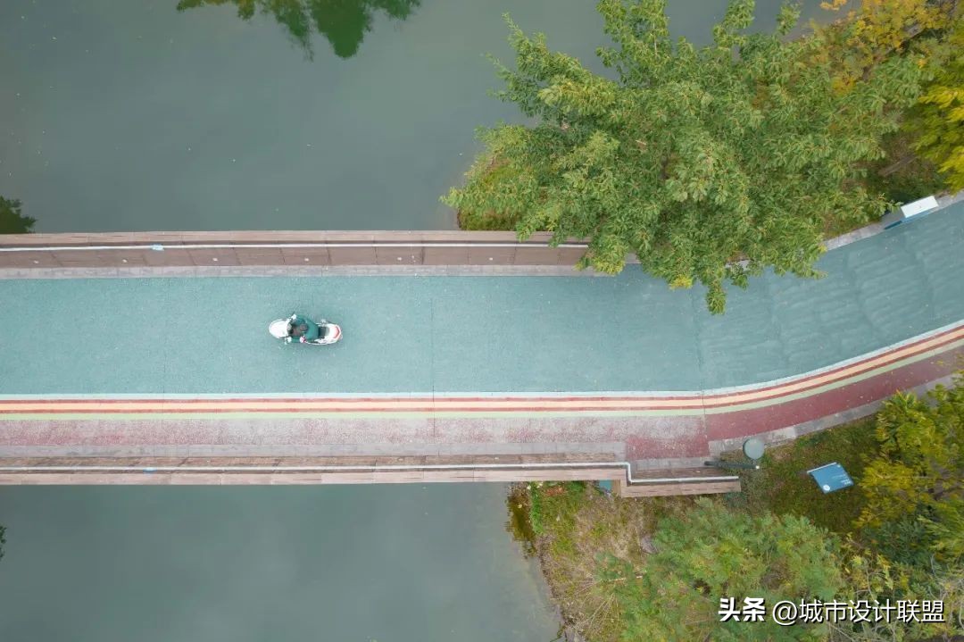 成都值得一游的公园,夏季成都宝藏公园