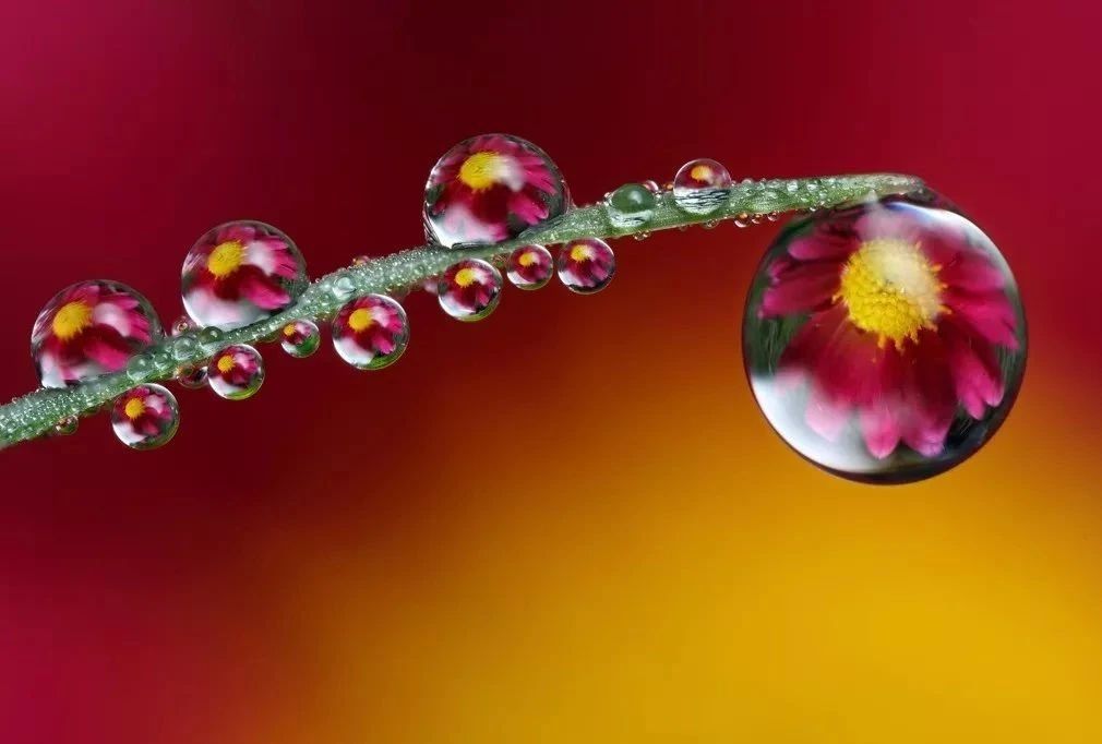 关于春的古诗词大全100首,100首关于春的古诗词美到令人窒息