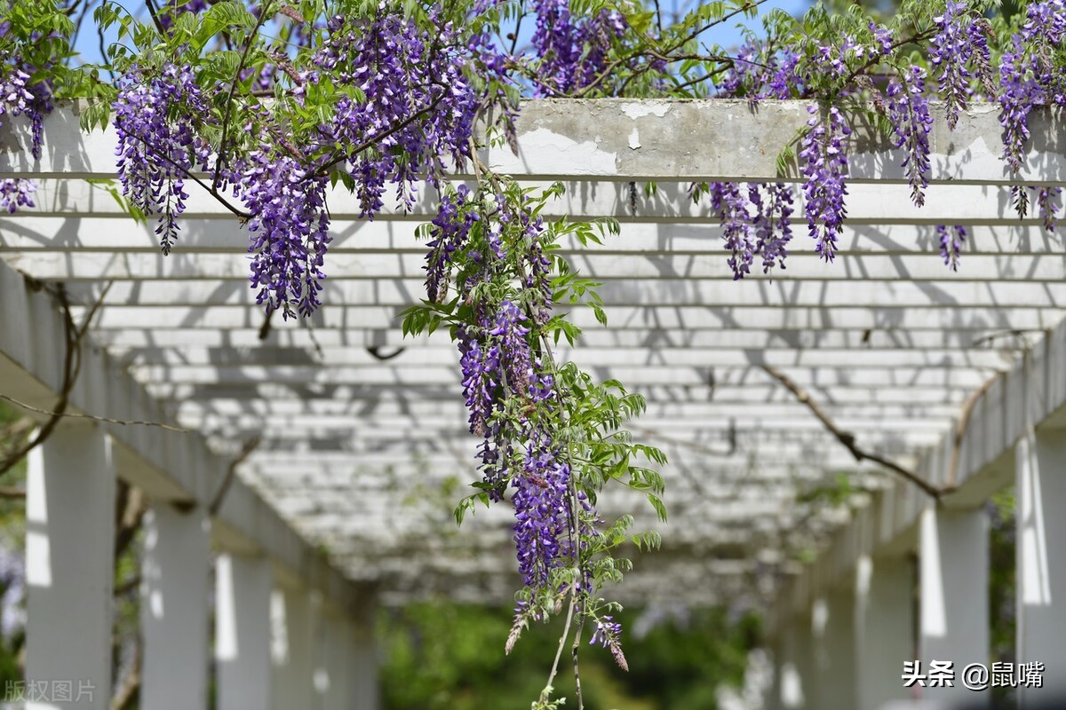 史记原文及译文16字,史记译文5