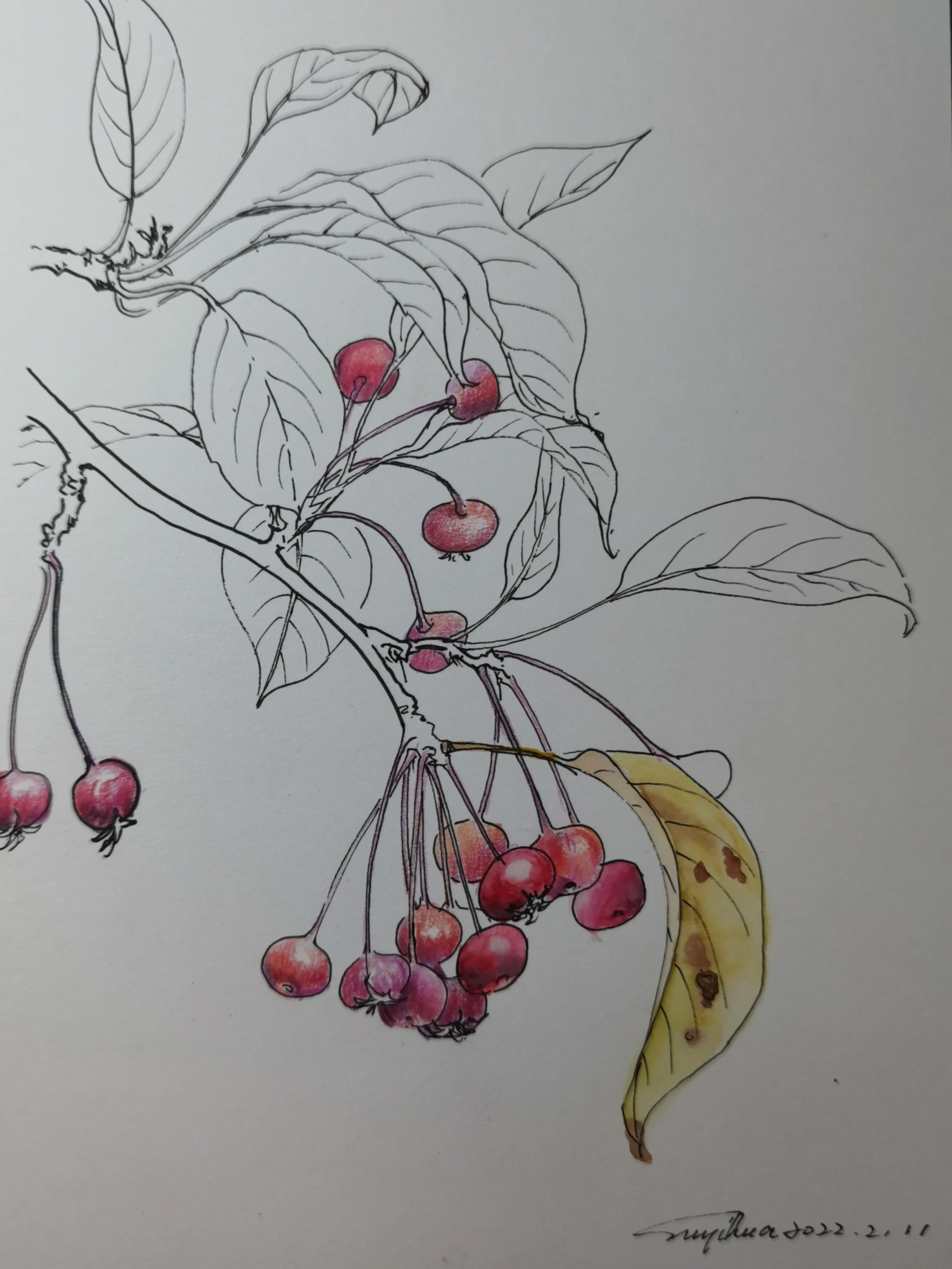 幸福原创创意画,幸福原创绘画作品欣赏