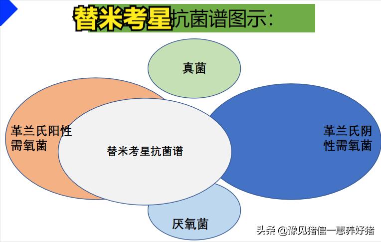 兽医微生物图谱,兽医药理基础知识