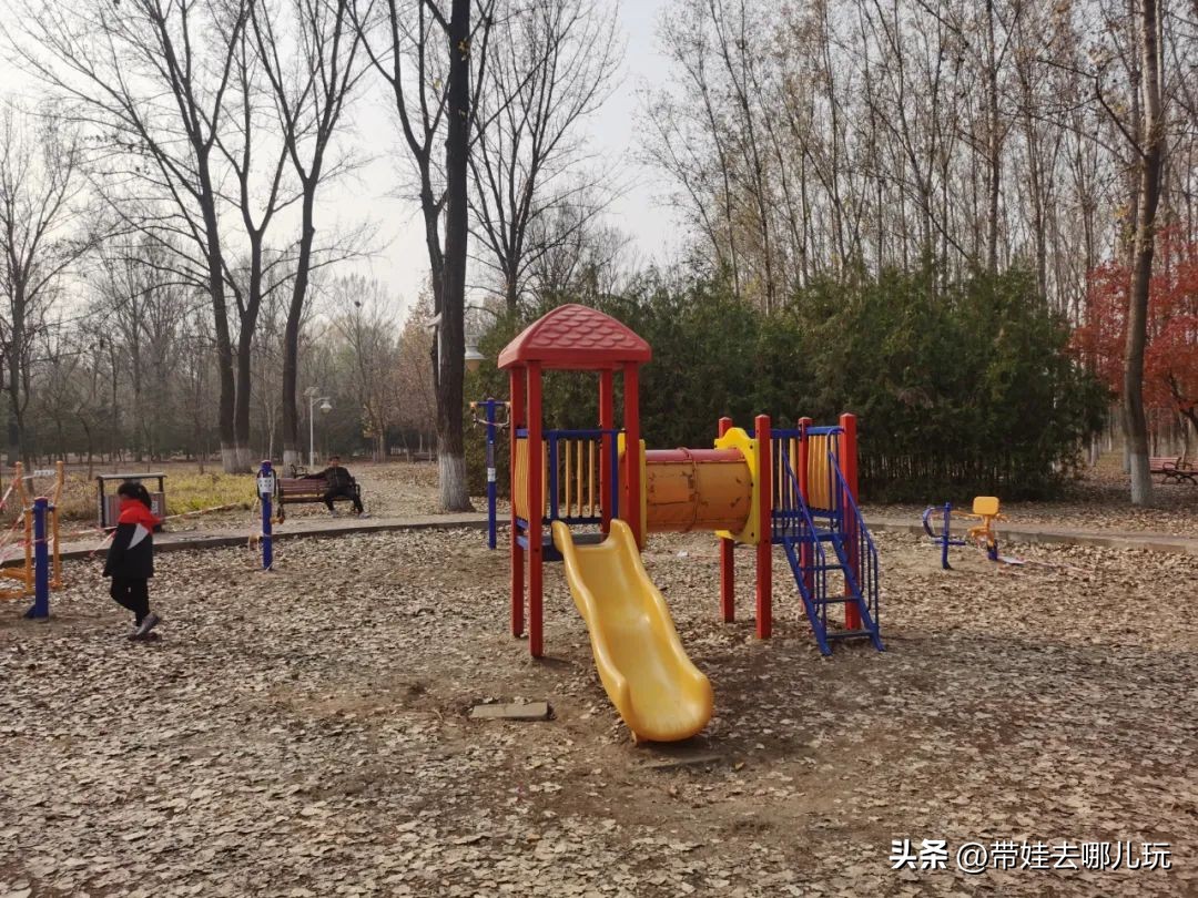 骑行国家森林公园,徒步骑行森林公园