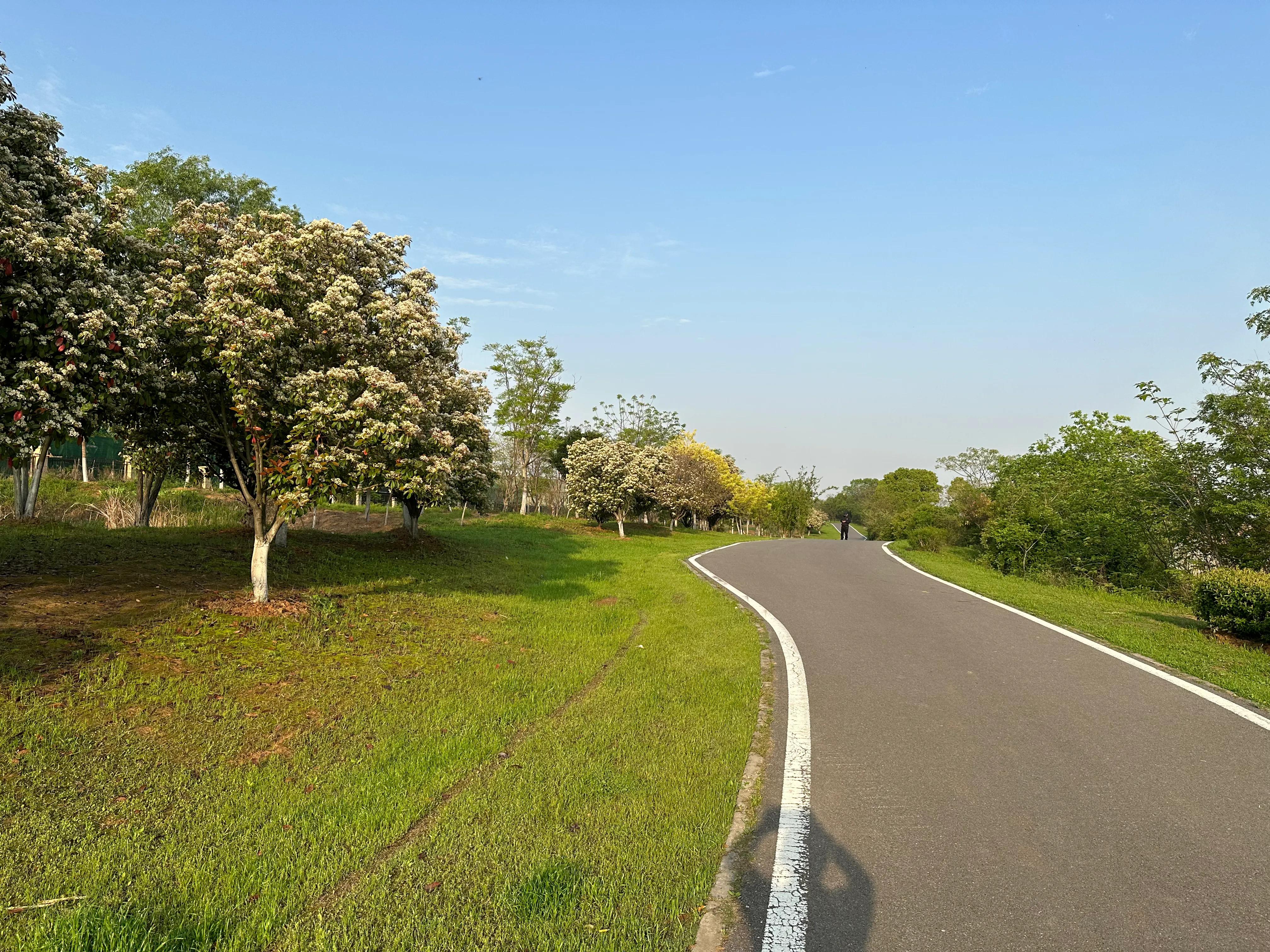 反噬小说最新章节列表,反噬2在线阅读