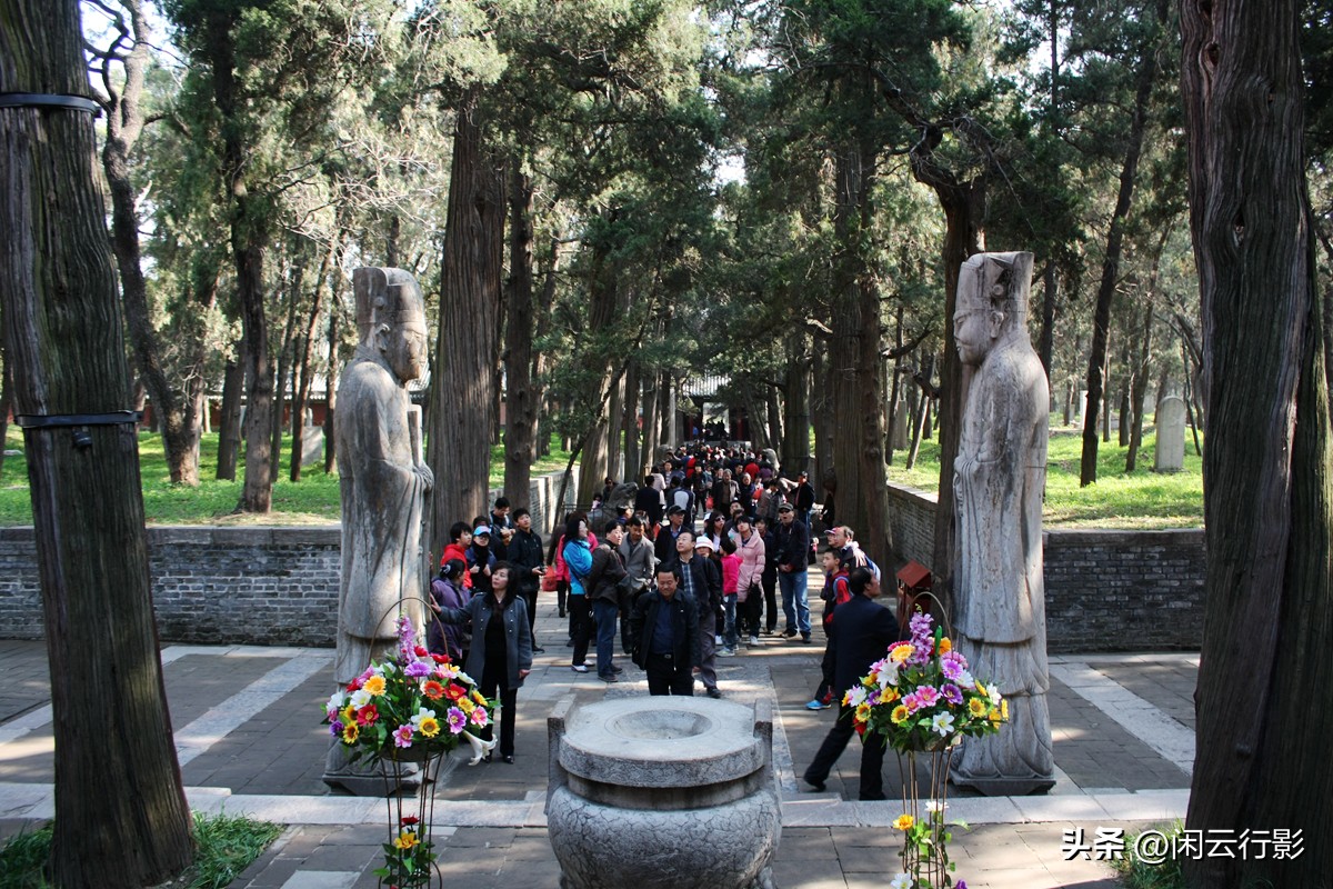 曲阜孔林的墓地好吗,曲阜孔林神道高清图片