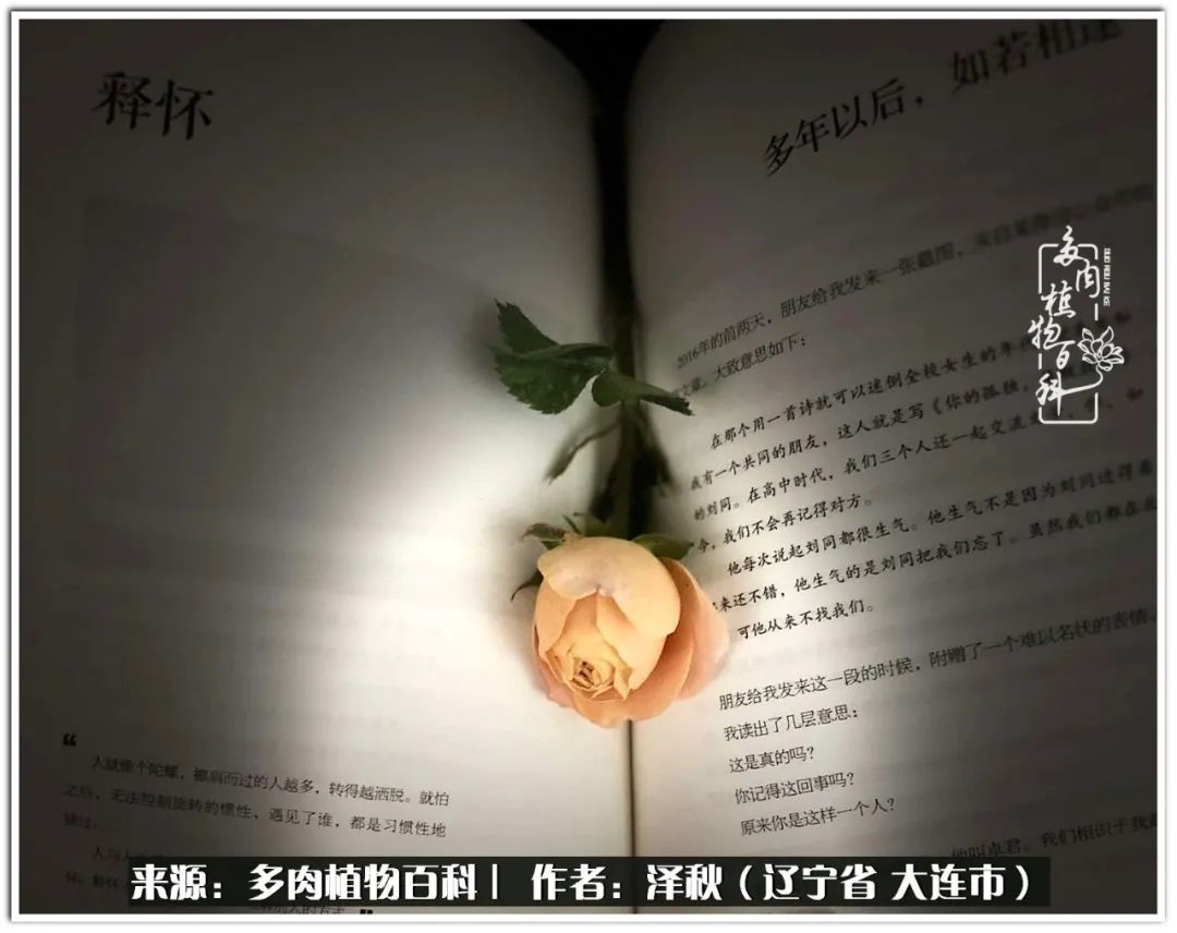 四季轮回之秋天,四季轮回之冬季