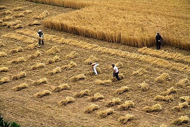 身价十亿的赌王千金,赌王何鸿燊千亿资产