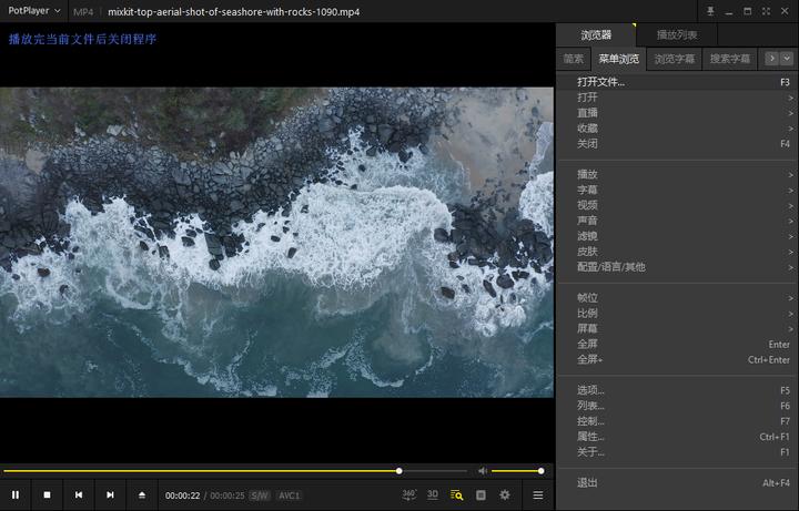 播放多种格式视频免费软件,1000个免费视频软件大全