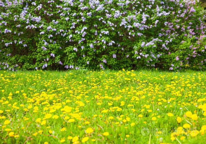 六一童趣七律,六首童年回忆