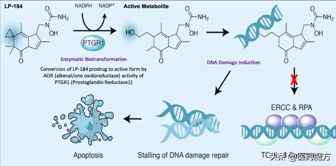 厉害了！这家公司的Licensein玩出了新境界