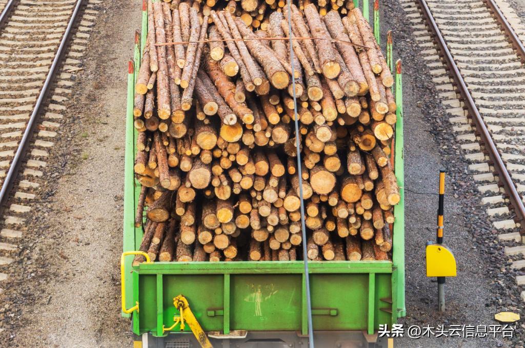 澳大利亚木材能进中国了吗,中国向澳大利亚出口木材