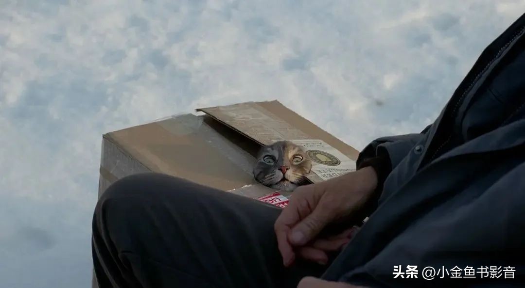 美版“欧维去死”！烂番茄冲到97%了！