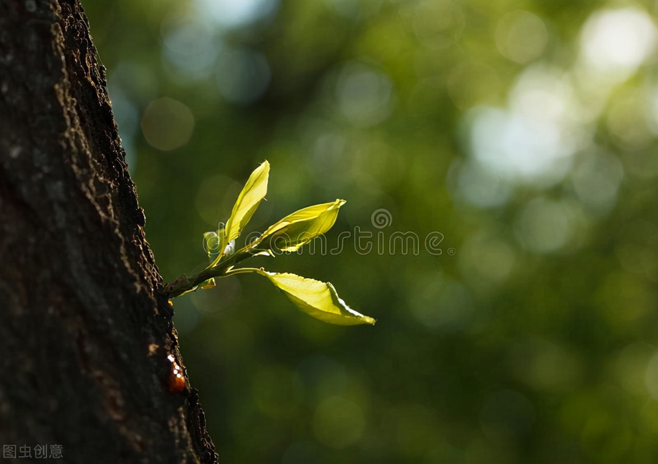 子宫内膜太薄怎么调理恢复快一点,子宫内膜厚如何调理最有效的方法