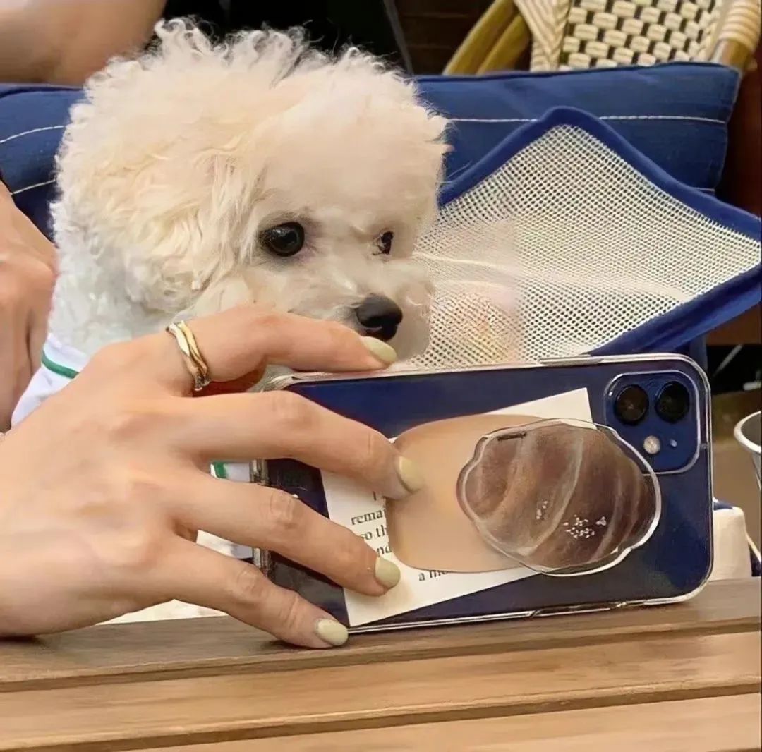 背景图小众高级,微信背景图小众高级温柔