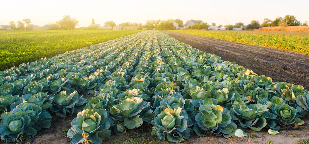 洗衣机热泵烘干原理,热泵式烘干机热泵是什么意思