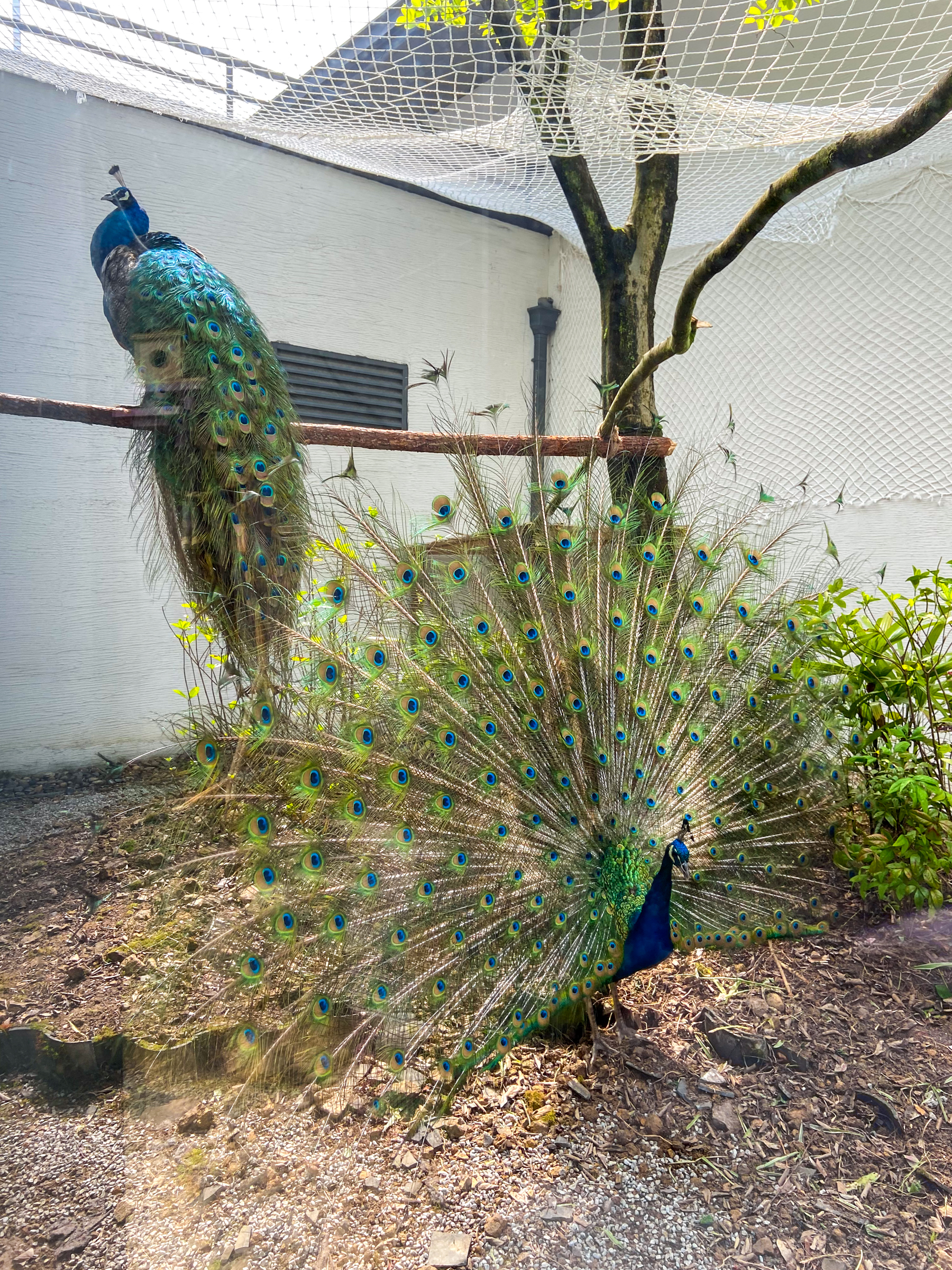 建德富春山居度假村,建德世外桃源度假村照片