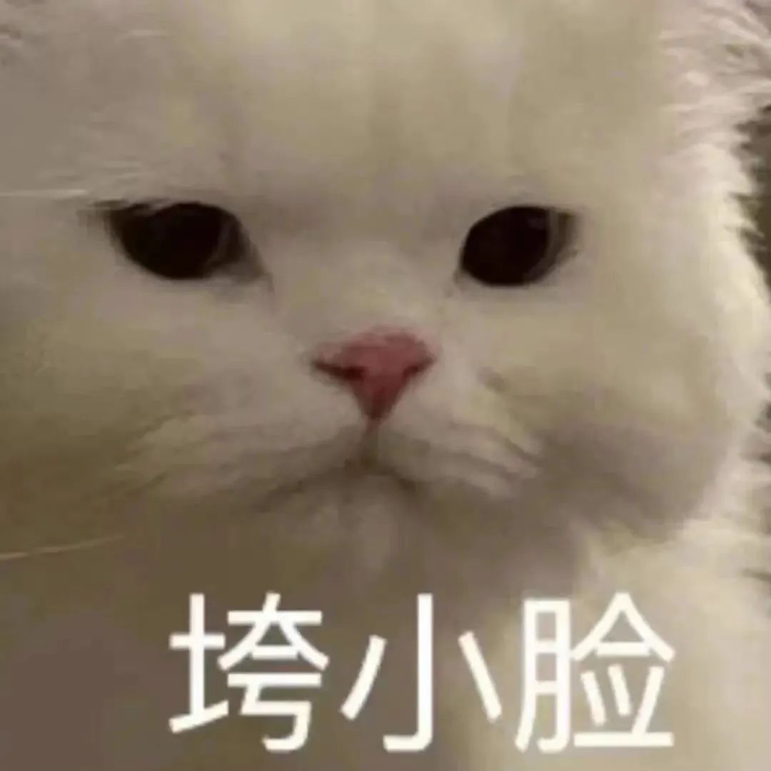 花1千买球拍值得吗,花1千买球拍