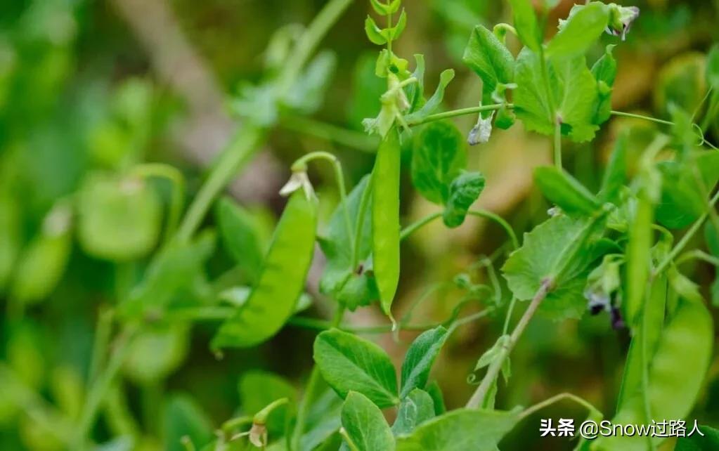 自主创业应该怎么做才好,自主创业的经验与分享