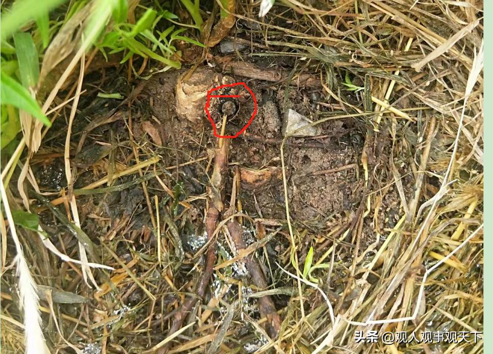 王师傅说：“名郎”牌鞋就应该让消费者心情“明朗”