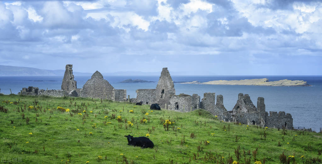 一家四口救宠物狗,宠物狗掉进粪坑一家四口救狗