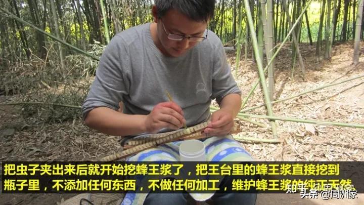 怎么鉴别好的蜂王浆真假,如何鉴别蜂王浆真伪好坏