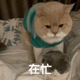 鐧惧害鍛樺伐鍙戝笘,鐧惧害鍛樺伐鍐呯綉