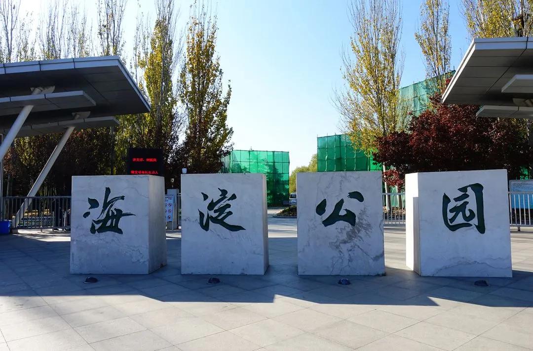 海淀公园相亲小程序,海淀公园相亲角