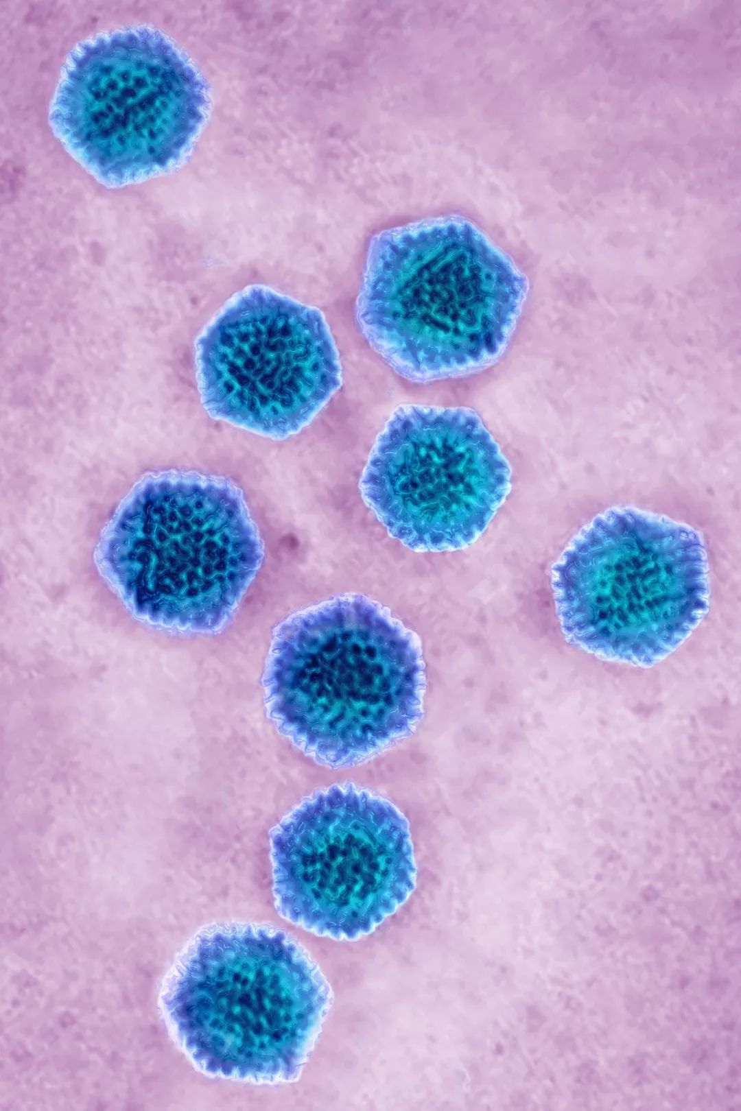 致与病毒搏斗的你！