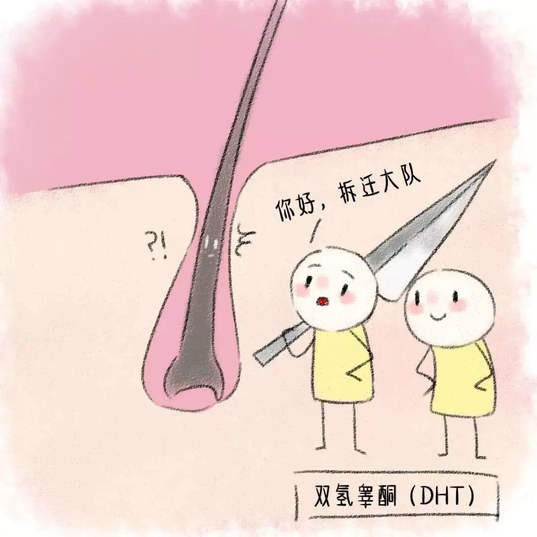 头发稀发际线高怎么治,中医治发际线最好的方法