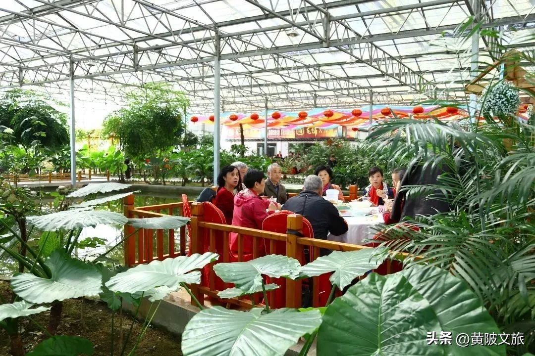 <html>
<head><title>502BadGateway</title></head>
<body>
<center><h1>502BadGateway</h1></center>
<hr><center>nginx</center>
</body>
</html>
<!--apaddingtodisableMSIEandChromefriendlyerrorpage-->
<!--apaddingtodisableMSIEandChromefriendlyerrorpage-->
<!--apaddingtodisableMSIEandChromefriendlyerrorpage-->
<!--apaddingtodisableMSIEandChromefriendlyerrorpage-->
<!--apaddingtodisableMSIEandChromefriendlyerrorpage-->
<!--apaddingtodisableMSIEandChromefriendlyerrorpage-->
