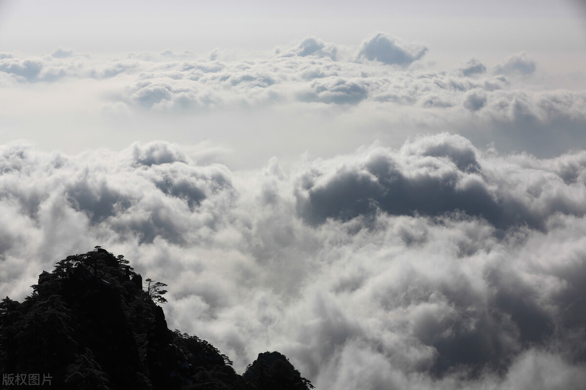 遥远的骑兵——我经历的骑兵训练